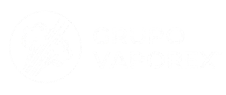 Logo Grupo Vaporex