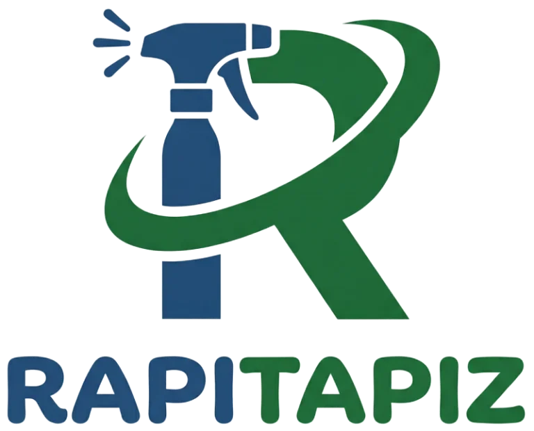Logo-Rapitapiz