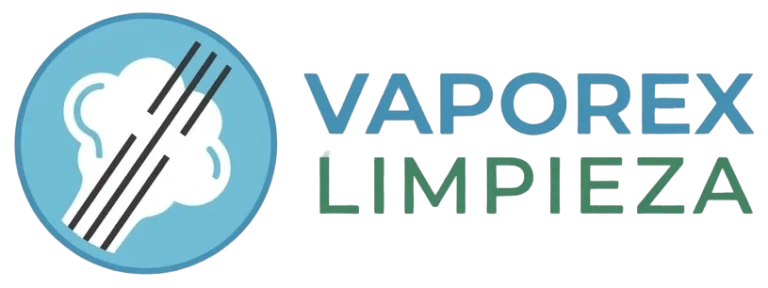 Vaporex Limpieza Logo